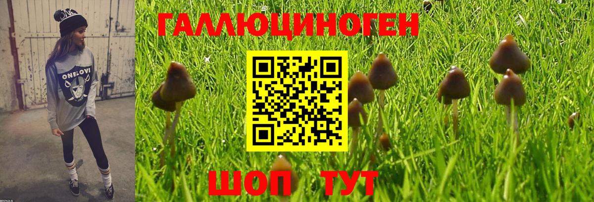 сколько стоит  Галлюциногенные грибы ЛСД  Псилоцибиновые грибы Psilocybine cubensis  Вход с VPN  Ульяновск 
